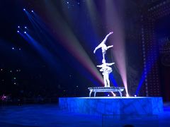 -珠海横琴长隆《卡卡虎奇遇记》