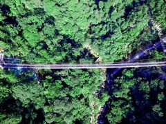 -九龙江国家森林公园