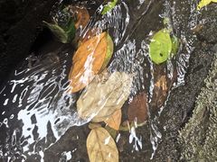 -百漈沟生态旅游景区