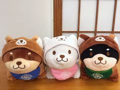 景观位-豆柴町-柴犬主题狗咖(红鼎国际C座店)