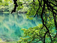 -叠溪松坪沟景区