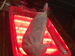 -我们家私房纸包鱼·烧烤