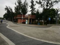 -宝安西湾红树林湿地公园