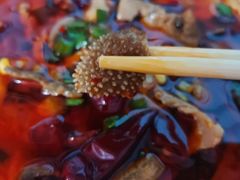 毛血旺-重庆豆花饭