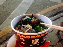 -龚记长沙臭豆腐(向西店)