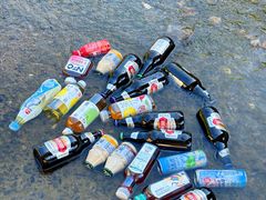 -北仑森林植物园