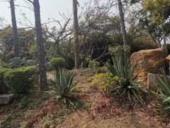 -漳州滨海火山岛自然生态风景区
