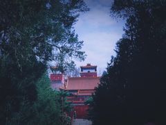 -颐和园