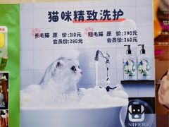 -北京观赏动物医院·24小时大型综合·猫专科·异宠专科