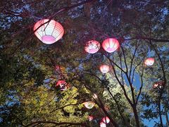 -大雁塔文化休闲景区-北广场
