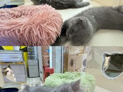 -万达广场(南宁青秀店)