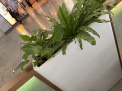 -麦当劳(上海虹桥站30B检票口楼上)