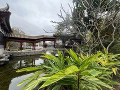 -顺峰山公园