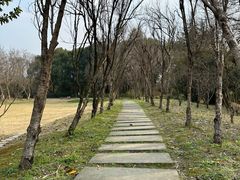 -西溪国家湿地公园