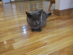 -壹人壹像工作室(购物公园店)