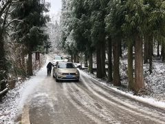 -武陵山森林公园