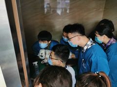 -安安宠医·安宠宠物医院