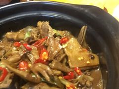 -小金鬼·煎饺·鸽子汤