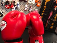 -体育科代表搏击散打体能训练馆(陶然亭店)