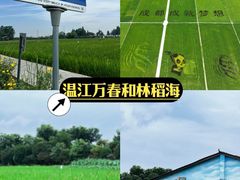-老鼎万春卤菜(五代传承创始老店)