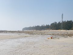 -贝壳沙滩