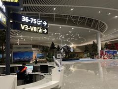 -青岛胶东国际机场