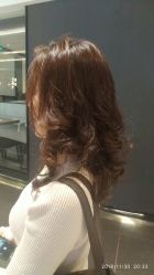 中发-Alger.O美感沙龙