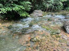 -黄公望隐居地