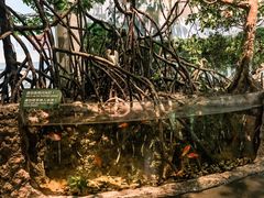 -中国湿地博物馆