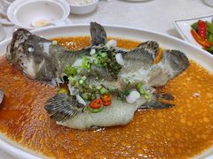 藤椒老虎斑-明香海鲜酒家(华强北店)