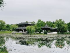 -尚湖风景区