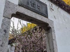 -绍兴鲁迅故里·沈园景区