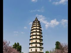 -开元寺塔