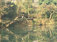 -贵阳市花溪国家城市湿地公园