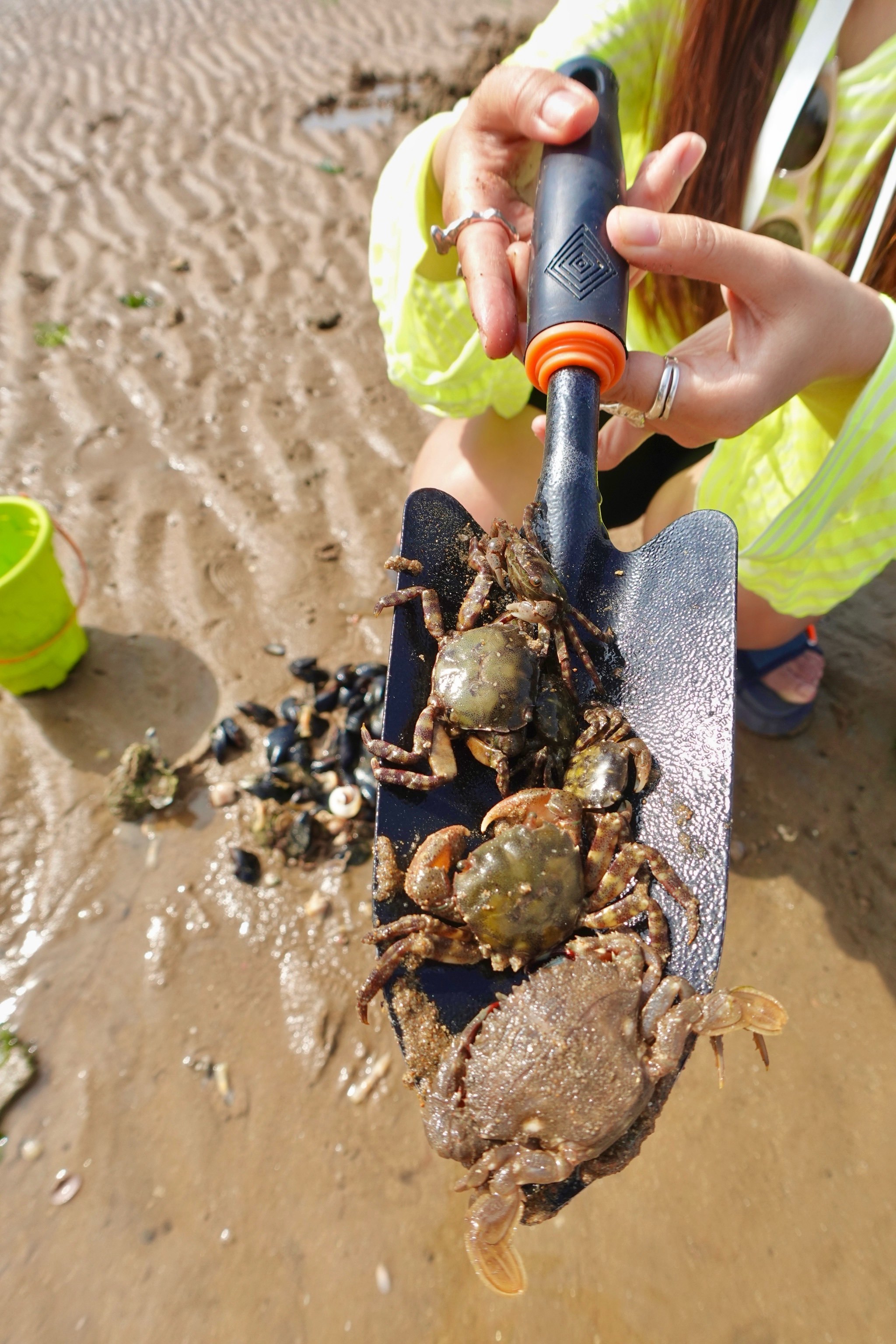 2025🟡北戴河6大赶海地‼️晒海货,暴桶啦