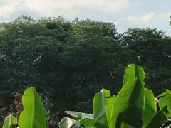-海珠儿童公园