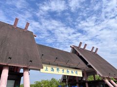 -上海野生动物园