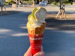 -富士山吉田線五合目