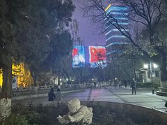 -文瀛公园