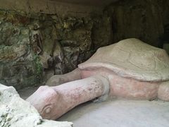 -上海佘山国家森林公园天马山园