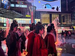 -合景·悠方(成都店)