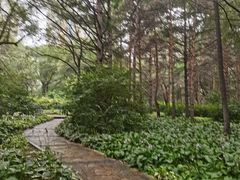 -黑龙江省森林植物园