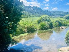 -中国茶叶博物馆(双峰馆区)