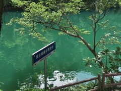 -鼎湖山风景区