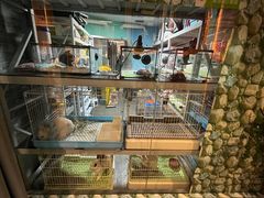 -雨林宠物医院 非犬猫异宠专科