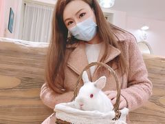-猫猫幼稚园·撸猫·桌游·电玩
