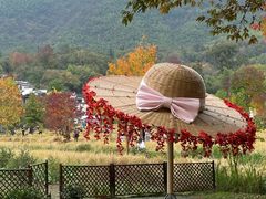 -塔川景区
