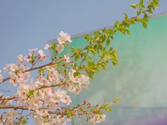 -龙美术馆(西岸馆)