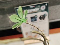 -佬麻雀·剁椒鱼头(京基KK One店)