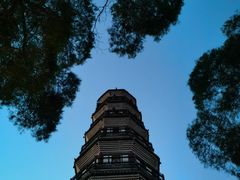 -顺峰山公园